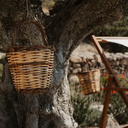 Mazas House * Kámbos